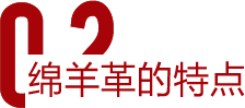綿羊革的特點(diǎn)